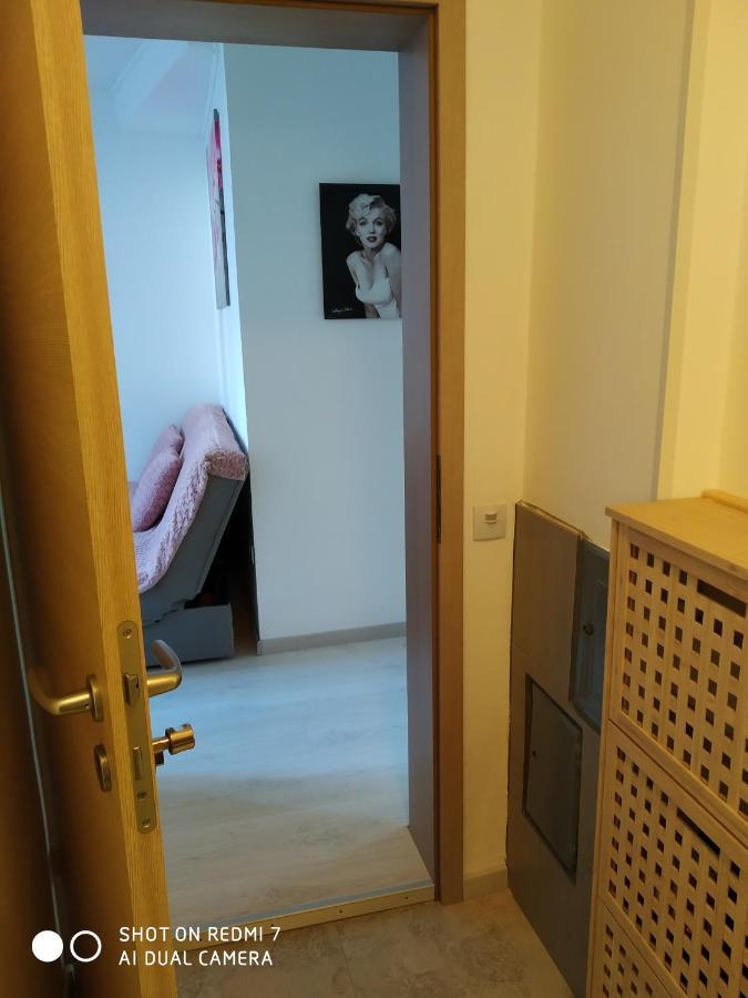 Apartma Jerman - Cerknica Exterior photo