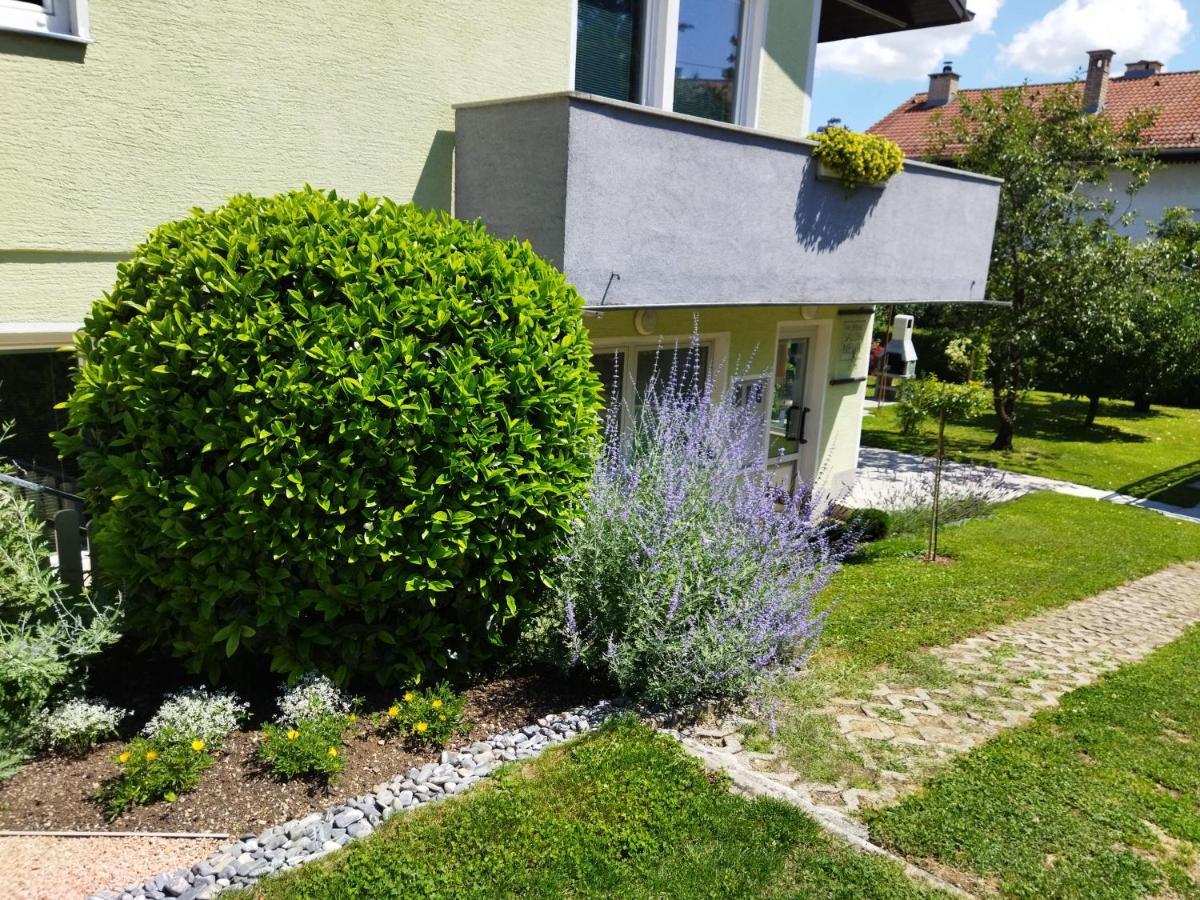Apartma Jerman - Cerknica Exterior photo